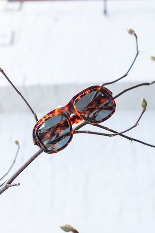 Dries Van Noten Acetate Sunglasses - Tortoiseshell/Gold/Grey