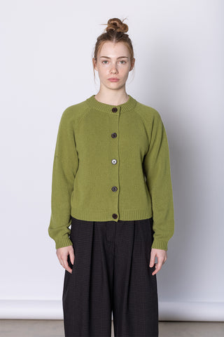 Eden Wool Cashmere Raglan Cardigan - Soft Green