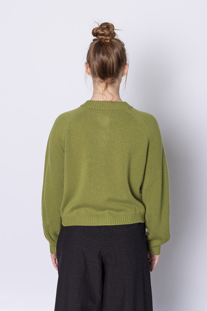 Eden Wool Cashmere Raglan Cardigan - Soft Green