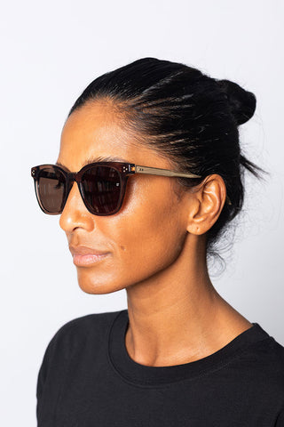 Evans Sunglasses - Brown/Matt Champagne/Brown