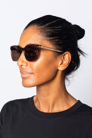 Evans Sunglasses - Brown/Matt Champagne/Brown