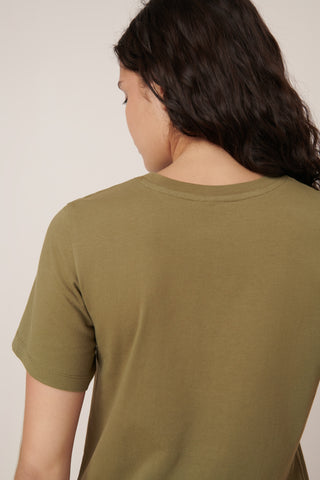 Compost Tee - Cedar