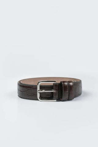 Classic Belt Crocodile - Brown